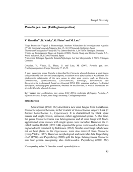 View on the Systematic Relationships Between Portalia, the New Smut Genus Here Proposed, and Several Related Smut Fungi Such As Cintractia S