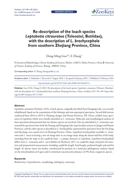 Re-Description of the Loach Species Leptobotia Citrauratea (Teleostei, Botiidae), with the Description of L
