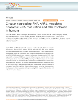 Circular Non-Coding RNA ANRIL Modulates Ribosomal RNA Maturation and Atherosclerosis in Humans