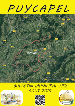 BULLETIN MUNICIPAL N°2 AOUT 2019 Présentation Du Conseil Municipal De PUYCAPEL