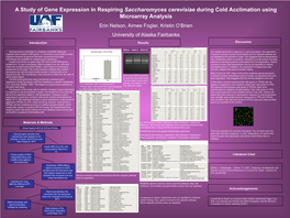 A Study of Gene Expression in Respiring Saccharomyces Cerevisiae During Cold Acclimation Using Microarray Analysis