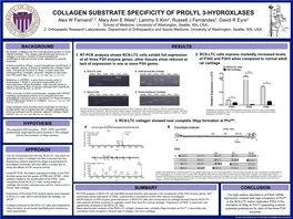 Collagen Substrate Specificity of Prolyl 3-Hydroxlases