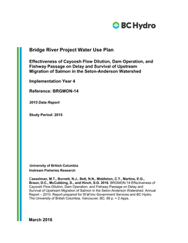 BRGMON-14 | Effectiveness of Cayoosh Flow Dilution, Dam
