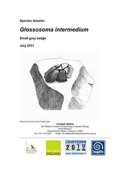 Species Dossier: Glossosoma Intermedium