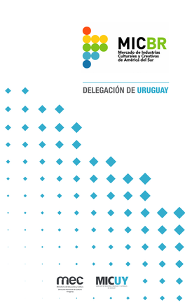 Delegación De Uruguay Participación Institucional / Equipo De Trabajo