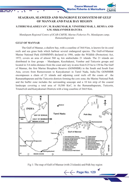 Seagrass, Seaweed and Mangrove Ecosystem of Gulf of Mannar And