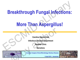 Breakthrough Fungal Infections: More Than Aspergillus!