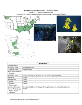 TAXONOMY Plant Family Species Scientific Name