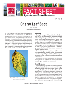 Cherry Leaf Spot