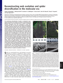 Spider Web Evolution and Diversification in the Molecular Era