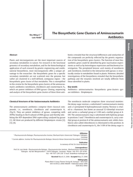 The Biosynthetic Gene Clusters of Aminocoumarin Antibiotics