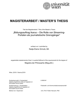 Magisterarbeit / Master's Thesis