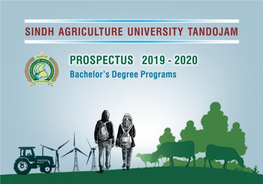 Undergraduate Prospectus 2019-20