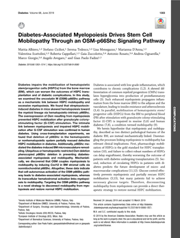 Diabetes-Associated Myelopoiesis Drives Stem Cell Mobilopathy Through an OSM-P66shc Signaling Pathway