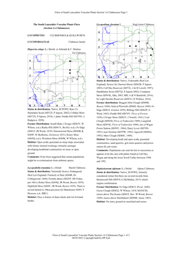 Clubmosses Page 1