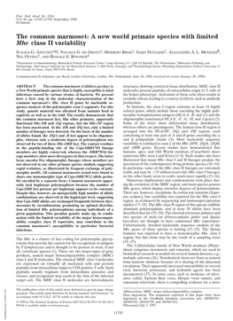 The Common Marmoset: a New World Primate Species with Limited Mhc Class II Variability