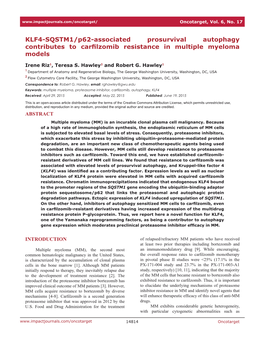 KLF4-SQSTM1/P62-Associated Prosurvival Autophagy Contributes to Carfilzomib Resistance in Multiple Myeloma Models