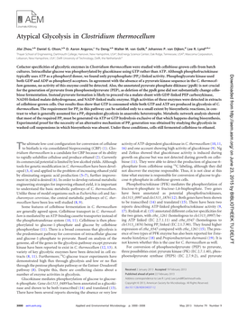 Atypical Glycolysis in Clostridium Thermocellum