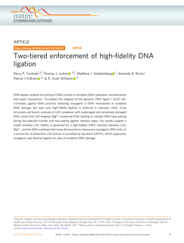 Two-Tiered Enforcement of High-Fidelity DNA Ligation