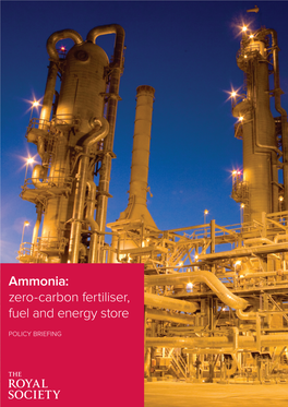 Ammonia: Zero-Carbon Fertiliser, Fuel and Energy Store