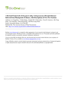 Dryopteridaceae) Inferred from Phylogenetic Evidence, with Descriptions of Two New Sections Author(S): Li-Yaung Kuo , Yi-Han Chang , Jennifer M