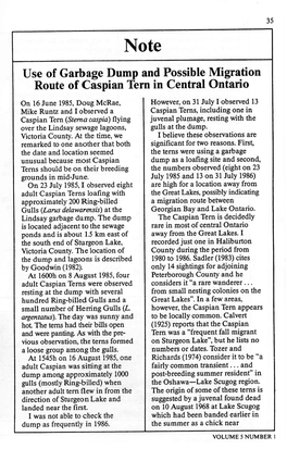 Use of Garbage Dump and Possible Migration Route of Caspian Tern in Central Ontario