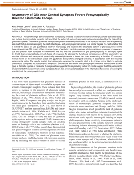 Asymmetry of Glia Near Central Synapses Favors Presynaptically Directed Glutamate Escape
