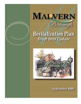 Revitalization Plan 2009 Update