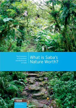 What Is Saba's Nature Worth? 3