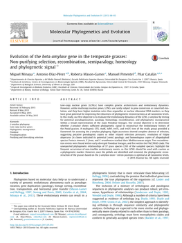 Evolution of the Beta-Amylase Gene in the Temperate Grasses: Non-Purifying Selection, Recombination, Semiparalogy, Homeology