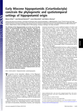 Early Miocene Hippopotamids (Cetartiodactyla) Constrain the Phylogenetic and Spatiotemporal Settings of Hippopotamid Origin