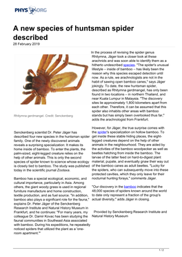 A New Species of Huntsman Spider Described 28 February 2019