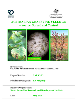 Australian Grapevine Yellows