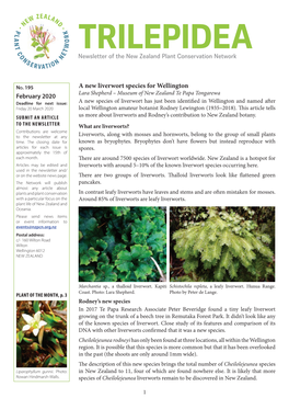 A New Liverwort Species for Wellington