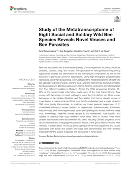 Study of the Metatranscriptome of Eight Social and Solitary Wild Bee Species Reveals Novel Viruses and Bee Parasites