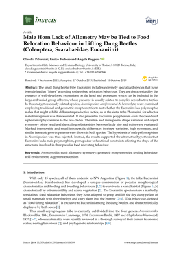 Male Horn Lack of Allometry May Be Tied to Food Relocation Behaviour in Lifting Dung Beetles (Coleoptera, Scarabaeidae, Eucraniini)