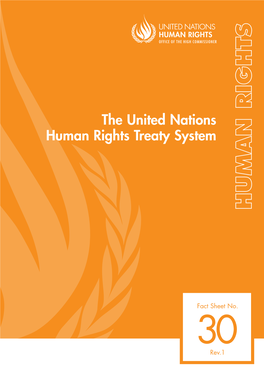 The United Nations Human Rights Treaty System