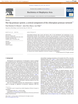 The Clp Protease System; a Central Component of the Chloroplast Protease Network☆