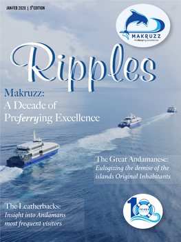 A Decade of Preferrying Excellence