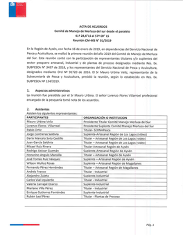 Número De Brechas Identificadas Pesquería Merluza Del Sur