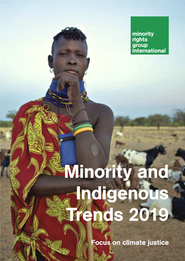 Minority and Indigenous Trends 2019
