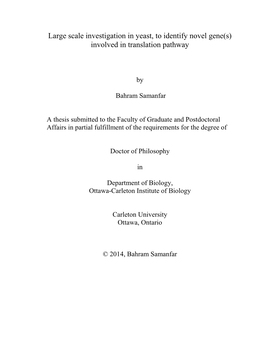 Large Scale Investigation in Yeast, to Identify Novel Gene(S) Involved in Translation Pathway