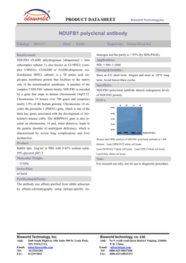 NDUFB1 Polyclonal Antibody