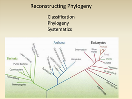 Reconstructing Phylogeny