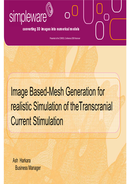 Image Based-Mesh Generation for Realistic Simulation of Thetranscranial Current Stimulation
