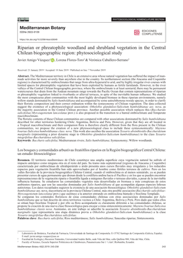 Riparian Or Phreatophile Woodland