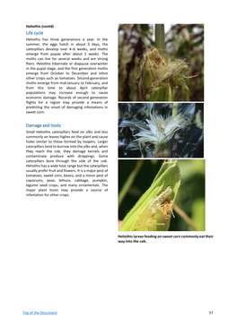 Sweet Corn Toolkit Manual V2 1 Part2