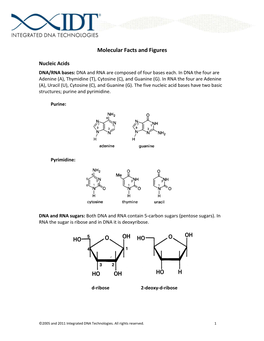 Useful Molecular Facts