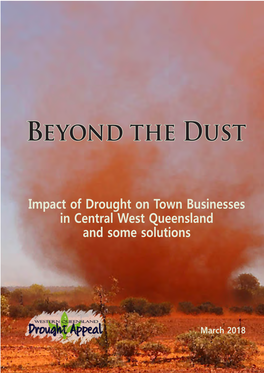Impact of Drought on Town Businesses in Central West