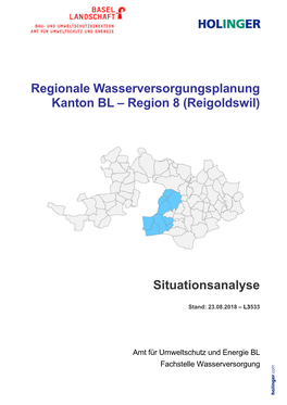 Region 8 (Reigoldswil) Situationsanalyse